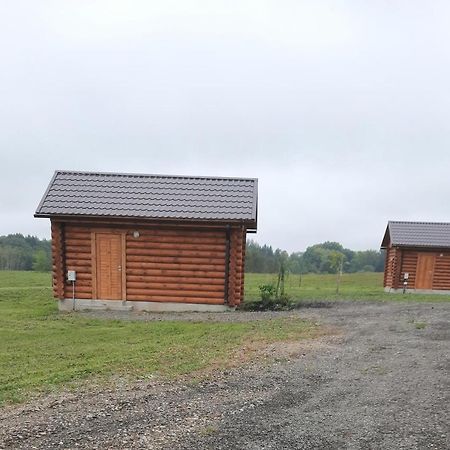Viesu Maja Manturi Peipini Exterior foto