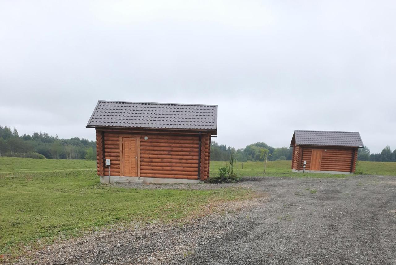 Viesu Maja Manturi Peipini Exterior foto