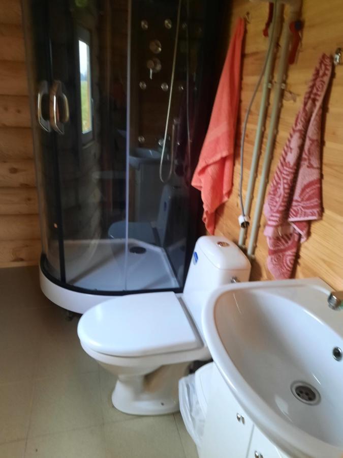 Viesu Maja Manturi Peipini Exterior foto